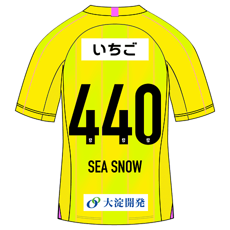 SEA SNOW