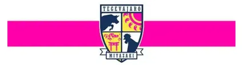 【お知らせ】6/14（土）FC大阪戦 新商品情報！
