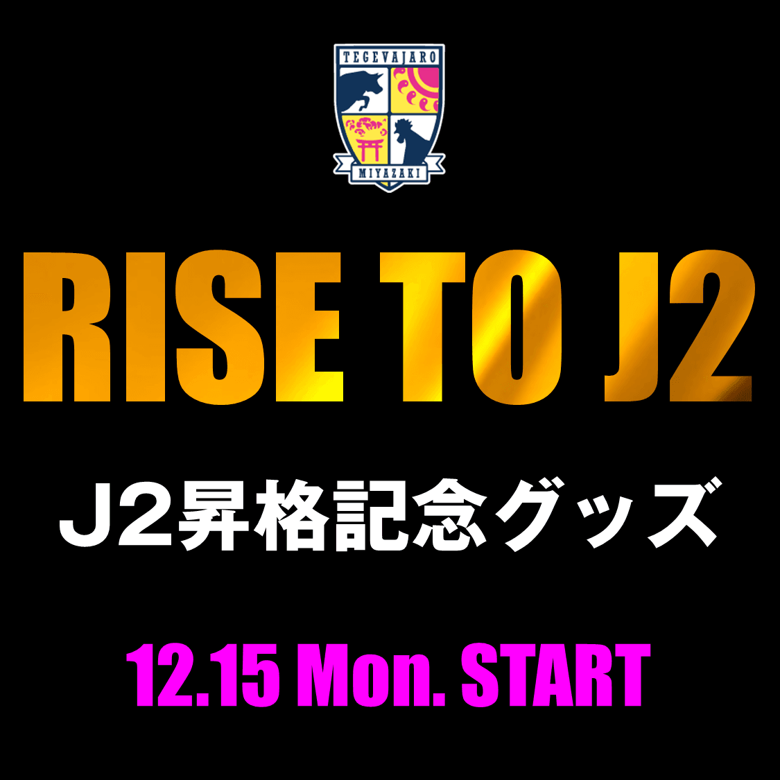 祝Ｊ２昇格！昇格記念グッズ販売 & 昇格記念セール開催！