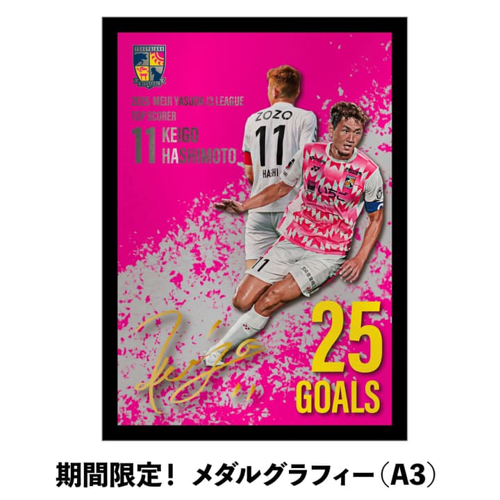期間限定！ 【橋本選手「得点王」獲得！】メダルグラフィー（A3）